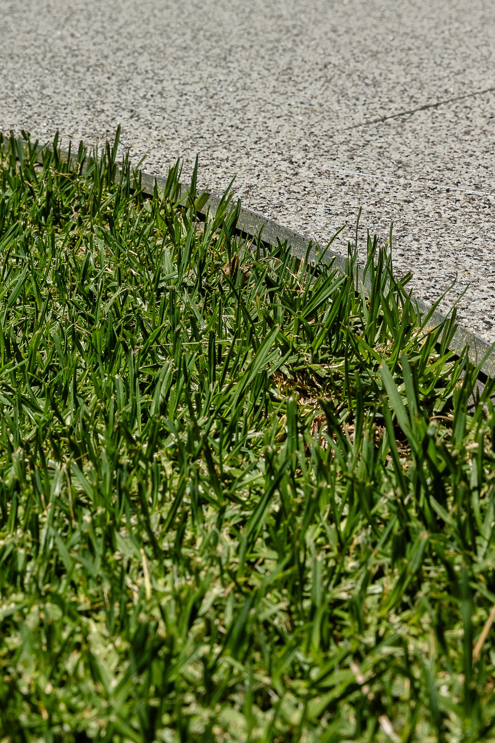 Resurfacing Adelaide Greenwith-16